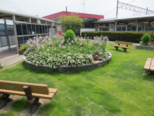 くろべ駅前花壇