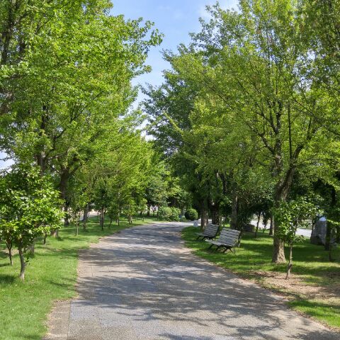 公園